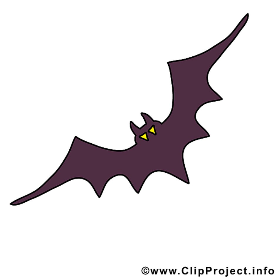 Bildtitel Fledermaus Bild Clipart