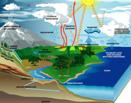 Water Cycle N20
