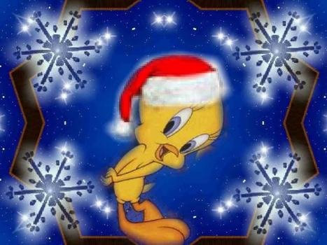 Tweety at Christmas time