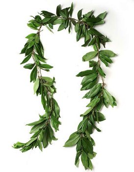 Hawaiian Lei Border