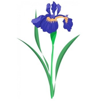 Purple Iris Flower Clip Art N2