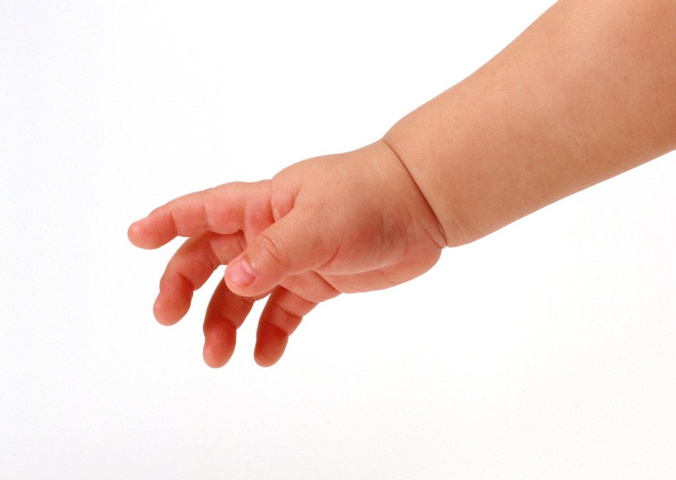 baby hand on a white background