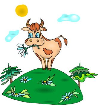 Organic Cow Manure Fertilizer