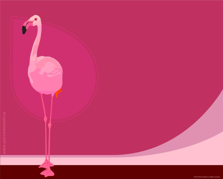 Colorful drawing with the flamingo clipart