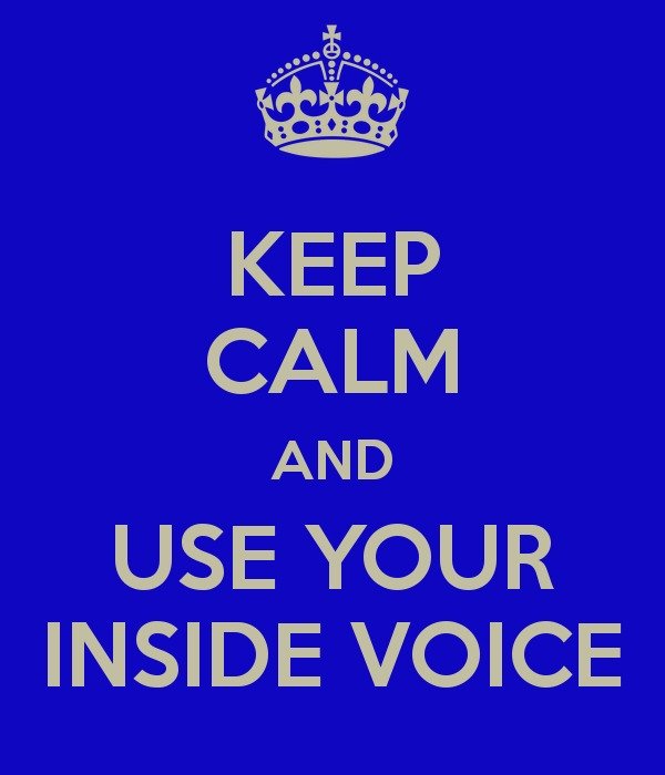 Use Your Inside Voice N3