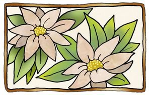 Set Vintage flower drawing