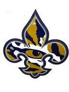 Fleur De Lis LSU Tiger Eyes