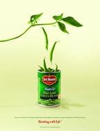 Best Magazine Ads 2013
