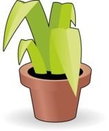 drawing of a green plant in a flower pot