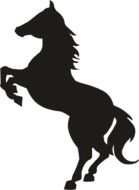 dark horse silhouette on a black background