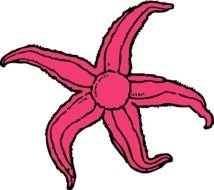 Clip Starfish Vector Art