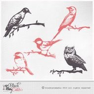 Birds Clipart Sketchy Instant Download Sparrow Owl Swallow