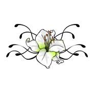 Lily Flower Tattoo Design drawing