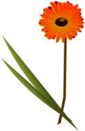 Gerbera Daisy Clip Art N5