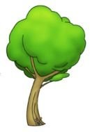 Cartoon Tree green drawing