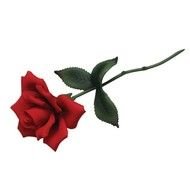 Long Stem Red Rose N3