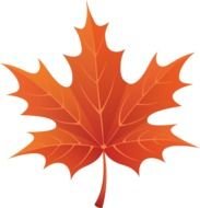 orange Maple Leaf Clipart