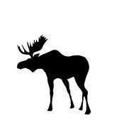 Moose Silhouette N3