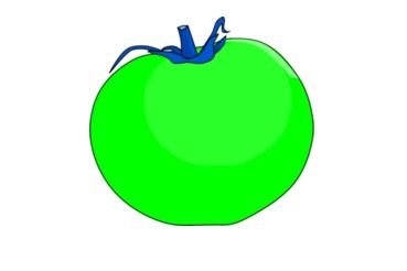 Tomato Vector Clip Art