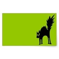 Green Cat Cartoon