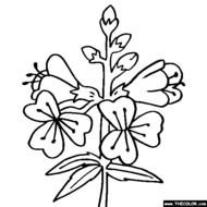 Jacobs Ladder Coloring Pages N2