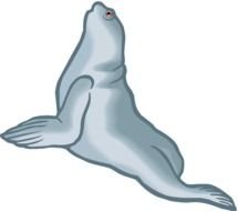 Cartoon Sea Lion drawing