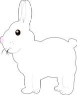 painted white rabbit profile on a white background