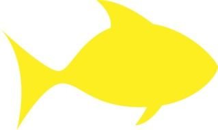yellow fish