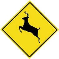 Animal Crossing Signs