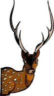 Cartoon Deer Head drawing