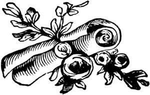 Script Clip Art N2