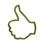 Thumbs Up Icon N2