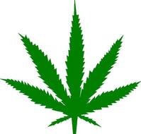 Pot Leaf N2