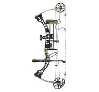 Compound Bow And Arrow