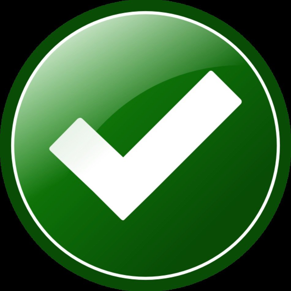 OK Icon N2