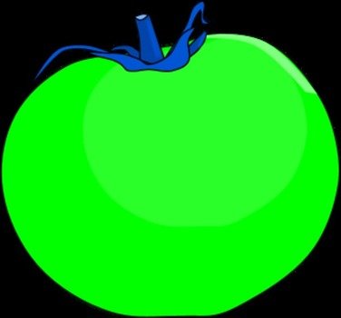 Tomato Vector Clip Art