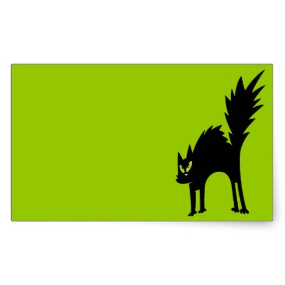 Green Cat Cartoon