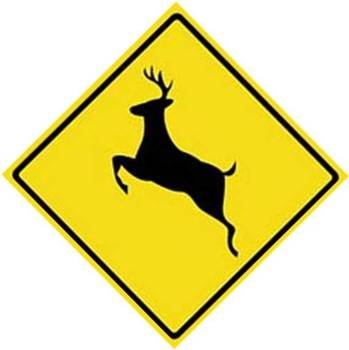 Animal Crossing Signs