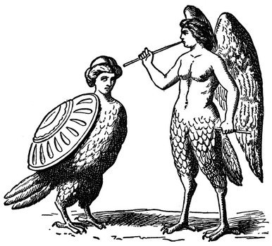 Harpies Greek Mythology