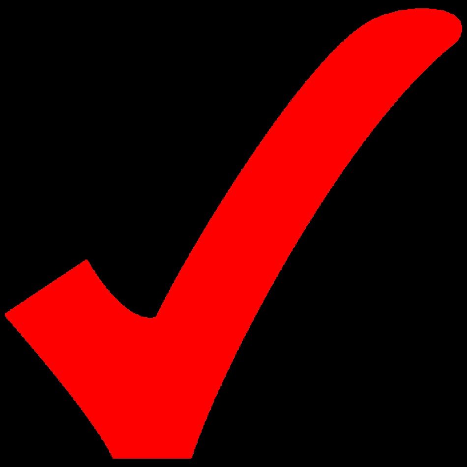 Red Check Mark N5