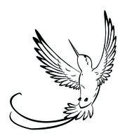 Black and white drawing of the hummingbird clipart