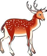 cute Cartoon red Deer drawing