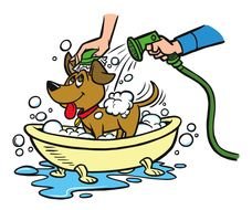 Dog Wash drawing