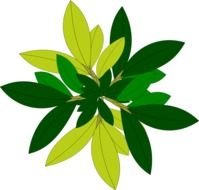 Tree as a clipart