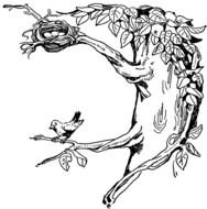 drawn tree with bird nest