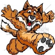 Cartoon Fox Running N5