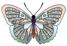 drawing of a turquoise butterfly on a white background