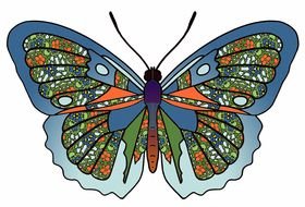 blue butterfly with patterns