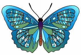 glittering turquoise butterfly