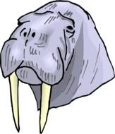 Walrus Clip Art N9